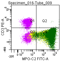 Figure 8; Double labeling of a normal blood sample treated with GAS-002, and immunostained for CD3 (PE) and MPO-C2 (FITC).
